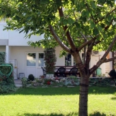 apartma-pungersek-8
