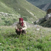 Pisarna in delovno mesto nomadskega pastirja