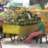Osvežitev, ki ob mestnem smogu in vlagi pride še kako prav