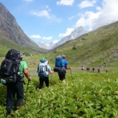 Zelena dolina Parvati