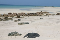 oman04