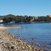 otok-iz4