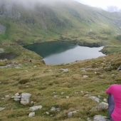Trans-Fagarasan